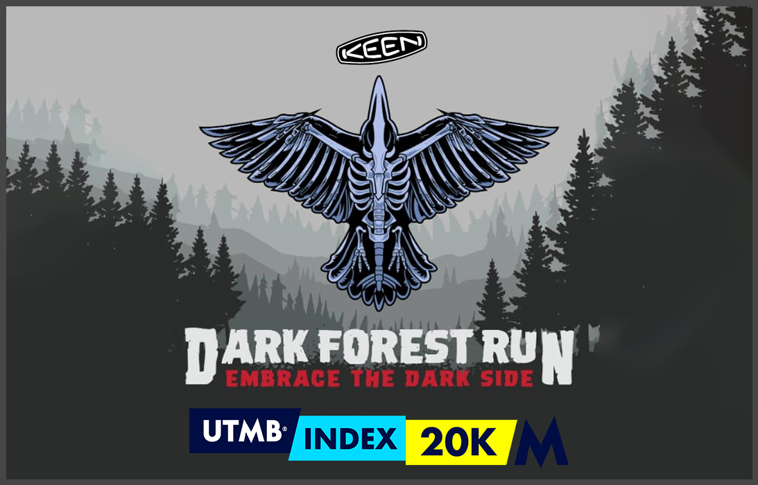Dark-Forest-Run-Banner